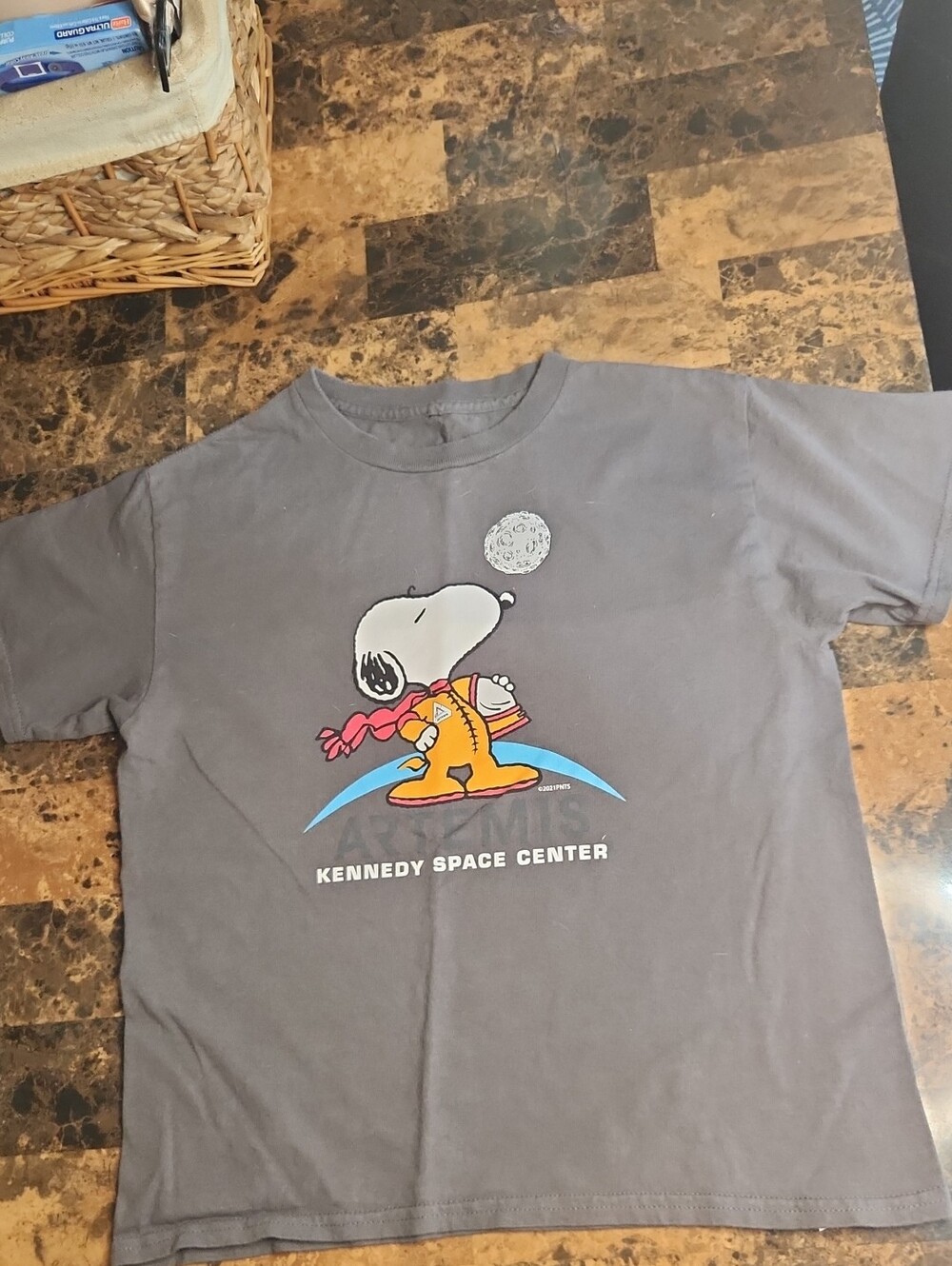 Kennedy Space Center Snoopy Graphic Tee - Gray